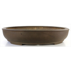 Bonsai pot JTA7717 YAMAAKI TOSHIO