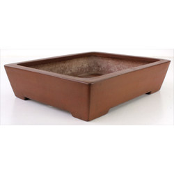 Bonsai pot JTA7747 GYOZAN YUUJI View 2