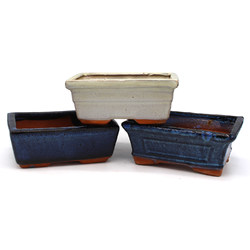 Bonsai pot CHT005 SET CHINESE USED POT