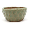 Bonsai pot JTAP1529 SHUHO SETO View 2