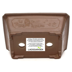 Bonsai pot JTAP1534 CHINGA TOKI View 6