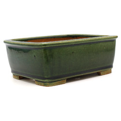 Bonsai pot JTAP1535 SHIBAKATSU