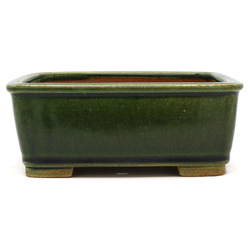 Bonsai pot JTAP1535 SHIBAKATSU View 2