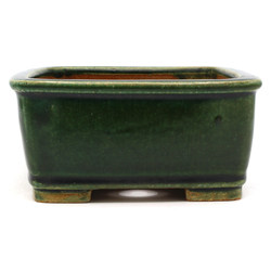 Bonsai pot JTAP1535 SHIBAKATSU View 3