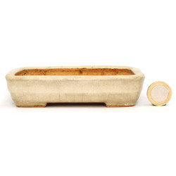 Bonsai pot JTAP1546 HATTORI