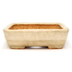 Bonsai pot JTAP1546 HATTORI View 3