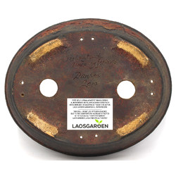 Bonsai pot NAU359 DAN BARTON View 6