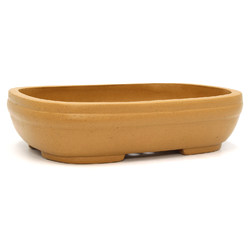 Bonsai pot CCH333 View 2