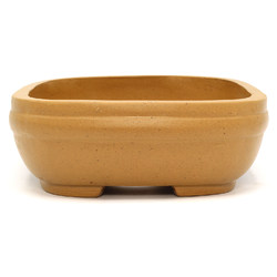 Bonsai pot CCH333 View 3