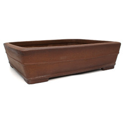 Bonsai pot JTA7833 TERAHATA MAZAN View 2