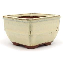 Bonsai pot GAS022-4-11