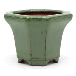 Bonsai pot GAS022-4-17