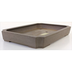 Bonsai pot JTA7795 SEIZAN MAKOTO View 2