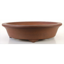 Bonsai pot JTA7821 GYOZAN YUKIZOU