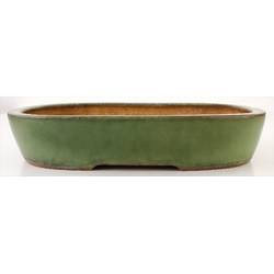 Bonsai pot JTA7811 YOSHIMURA SHUUHOU