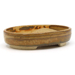 Bonsai pot JTAP427 RAKUZAN View 2