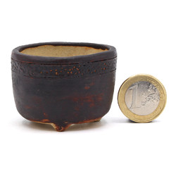 Maceta bonsái JTAP1561 RAKUZAN