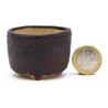 Bonsai pot JTAP1561 RAKUZAN
