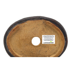 Bonsai pot JTAP455 RAKUZAN View 4