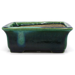 Bonsai pot JTA7881 TERAHATA SATOMI