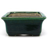 Bonsai pot JTA7881 TERAHATA SATOMI View 3