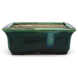 Bonsai pot JTA7881 TERAHATA SATOMI View 4