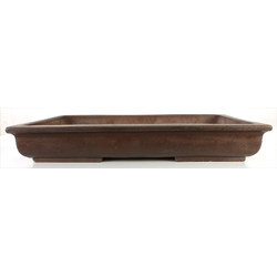 Maceta bonsái JTA7840 IZUMI-YA ZENIGO