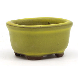 Bonsai pot JTAP429 BUNZAN View 2