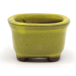 Bonsai pot JTAP429 BUNZAN View 3