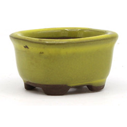 Bonsai pot JTAP430 BUNZAN View 2