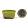 Bonsai pot JTAP430 BUNZAN