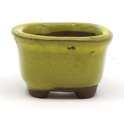 Bonsai pot JTAP430 BUNZAN View 3