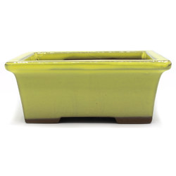 Maceta bonsái YOKN001