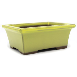 Bonsai pot YOKN001 View 2