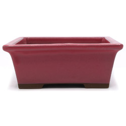 Maceta bonsái YOKN003