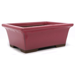 Bonsai pot YOKN003 View 2