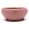 Maceta bonsái YOKN009