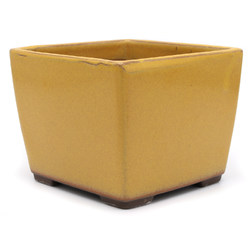 Maceta bonsái YOKN005A
