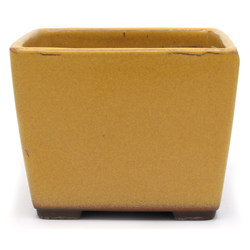 Bonsai pot YOKN005A View 2