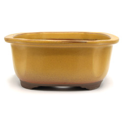 Bonsai pot YOKN013C View 4