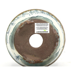 Bonsai pot TOSU269 TOSUI SHIKAO View 5
