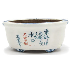 Bonsai pot TOSU150 TOSUI SHIKAO View 3
