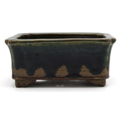 Bonsai pot JTAP1372 TOSUI MASAO