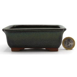 Bonsai pot JTAP1368 TOSUI MASAO