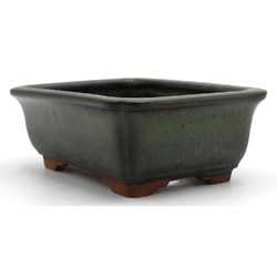 Bonsai pot JTAP1368 TOSUI MASAO View 2