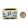 Bonsai pot TOSU258 TOSUI SHIKAO View 5