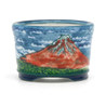 Bonsai pot TOSU283 TOSUI SHIKAO View 2