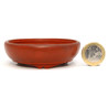 Bonsai pot JTAP1557 FURUMI NOBUYOSHI