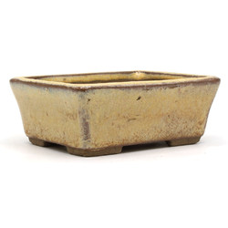 Bonsai pot JTAP1565 JUETSU SANSUI View 2