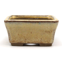 Bonsai pot JTAP1565 JUETSU SANSUI View 3